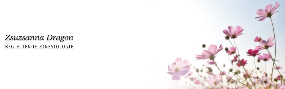 Fotolia8408992a