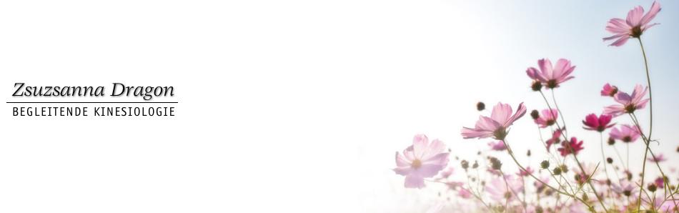 wiesenblumen01